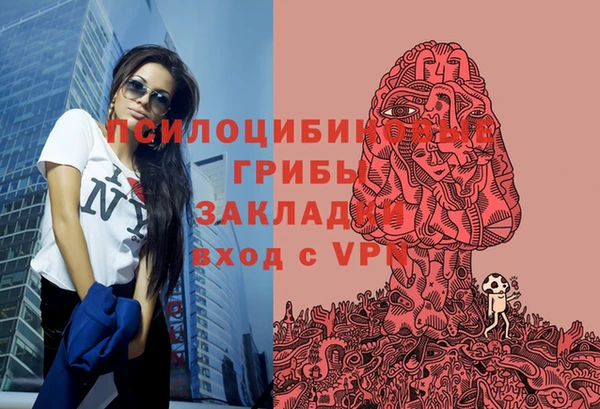 ГАЛЛЮЦИНОГЕННЫЕ ГРИБЫ Алексин