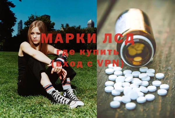прущие грибы Алзамай