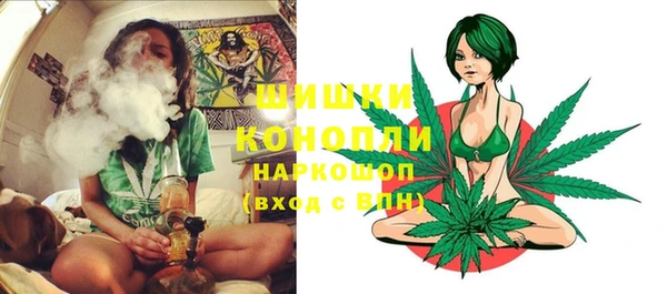 прущие грибы Алзамай