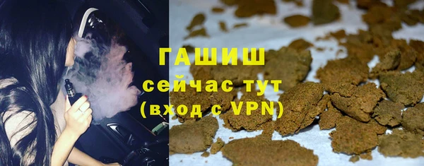 прущие грибы Алзамай