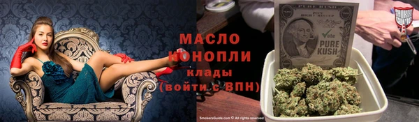 прущие грибы Алзамай