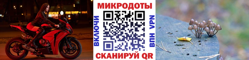 Галлюциногенные грибы Psilocybine cubensis  OMG сайт  Безенчук  даркнет сайт 